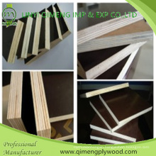 Poplar Core Brown Color Shuttering Plywood with Cheap Price